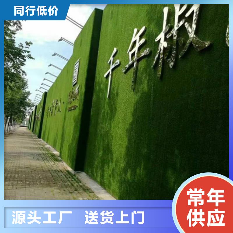 围挡草坪人工草坪围挡买的放心专注细节更放心