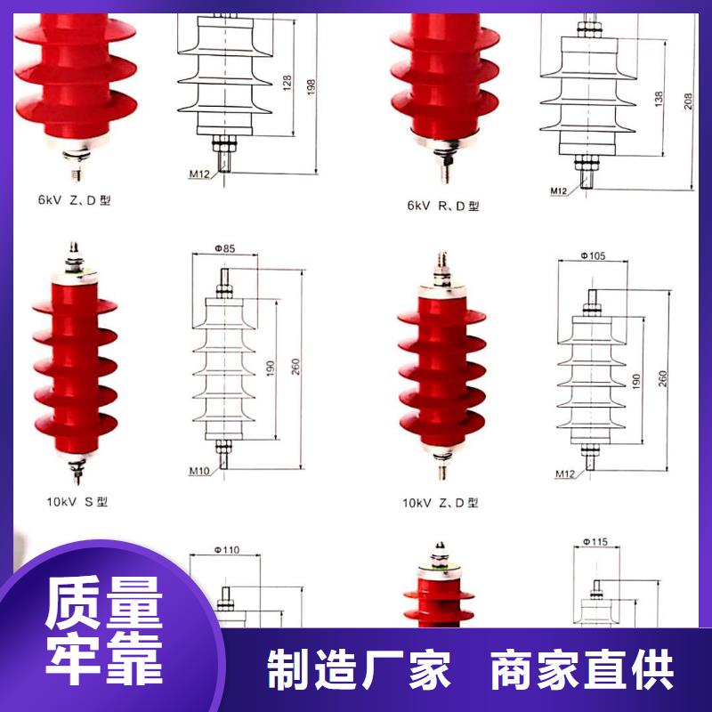 氧化锌避雷器XRNP-10KV高压限流熔断器实地大厂专注质量