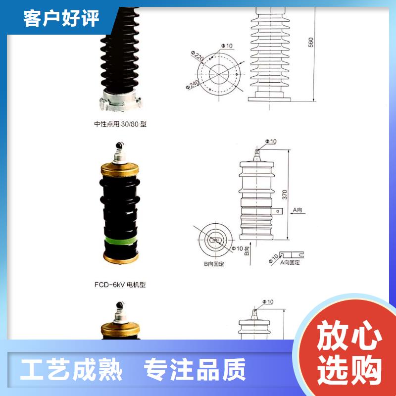 氧化锌避雷器_XRNT-12KV熔断器品质过硬库存充足