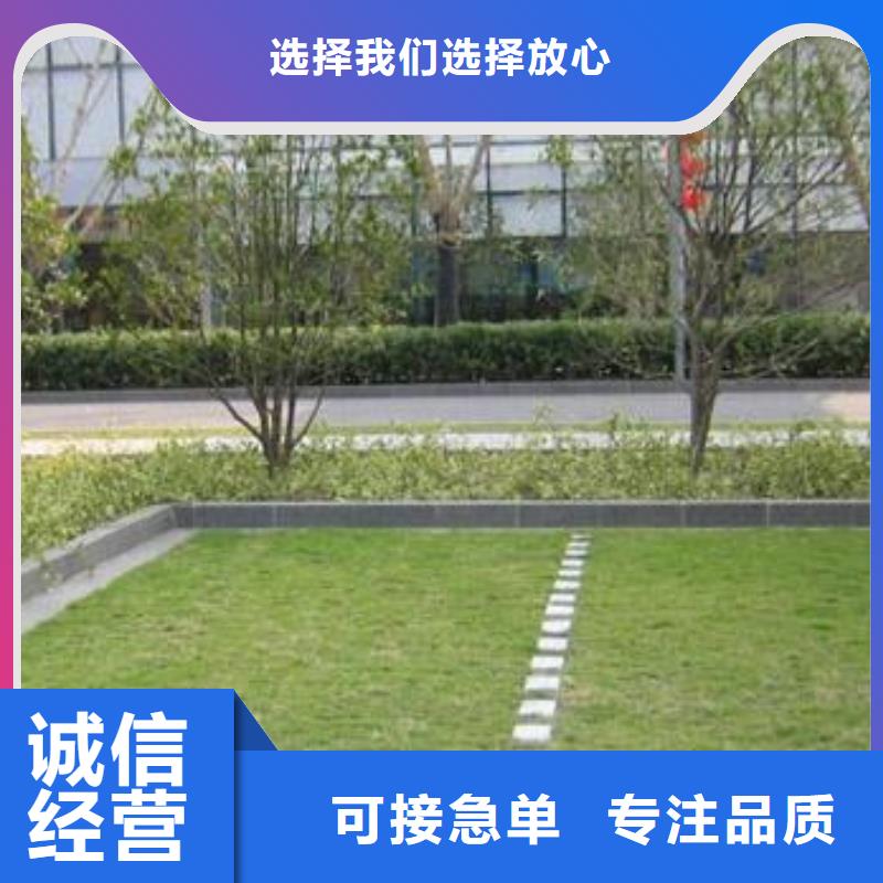 植草格【蜂巢格室】质检合格出厂产地采购