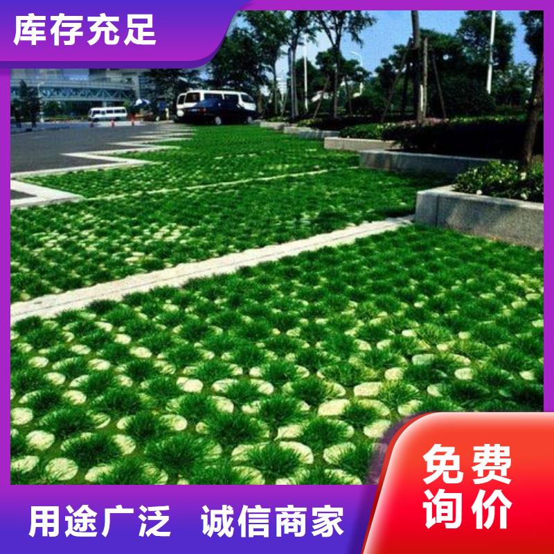 植草格,双向塑料土工格栅产地采购技术先进