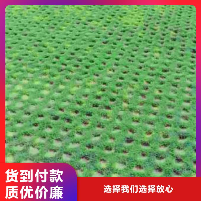 植草格【PVC防水卷材】精心选材厂家现货批发