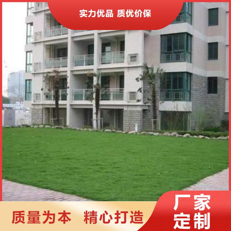 植草格_城建土工膜大品牌值得信赖当地货源