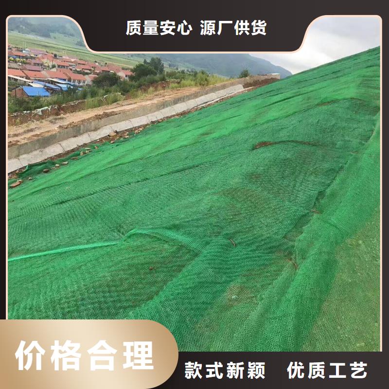 三维植被网_塑料土工格栅设计合理库存丰富