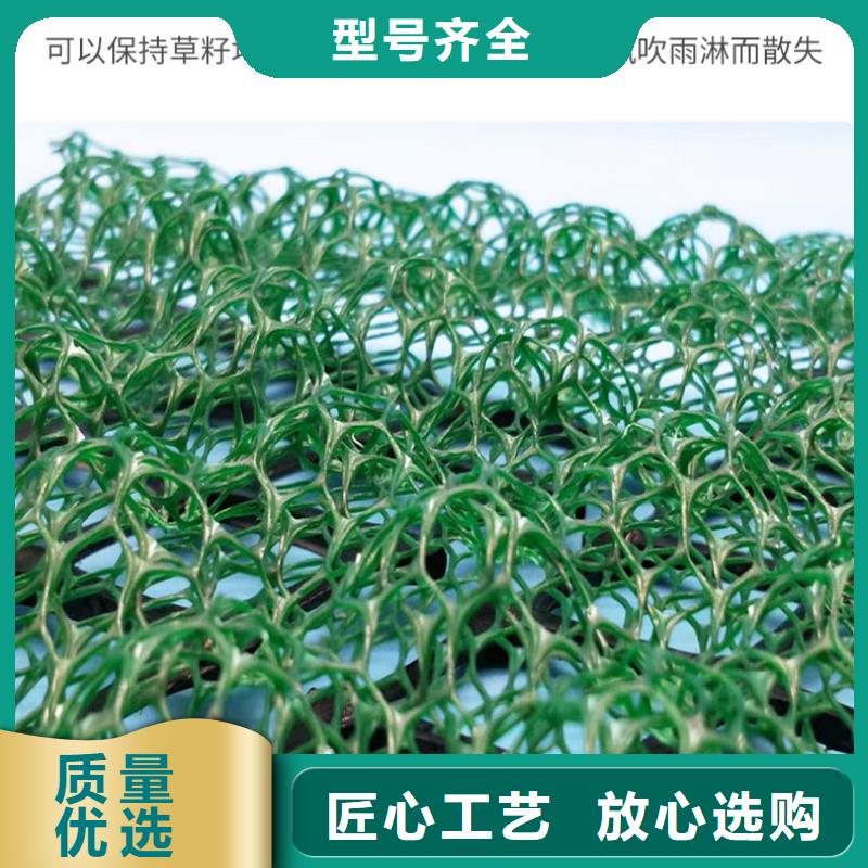 三维植被网【塑料土工格栅】定制不额外收费自产自销