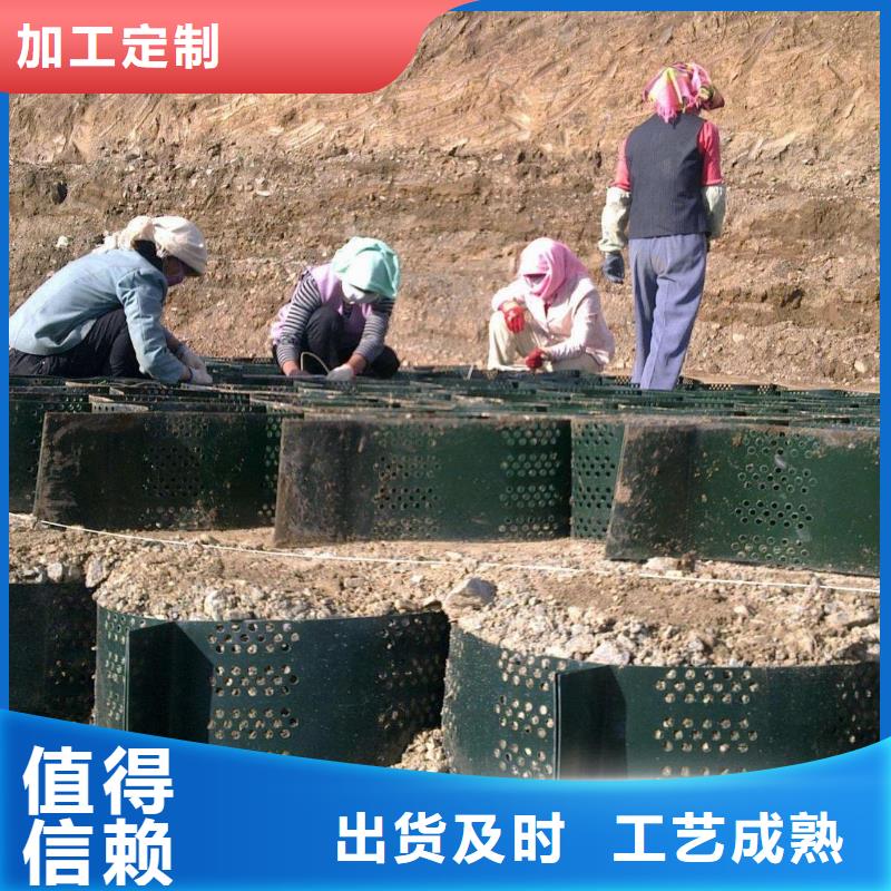 土工格室单向塑料土工格栅工期短发货快现货实拍