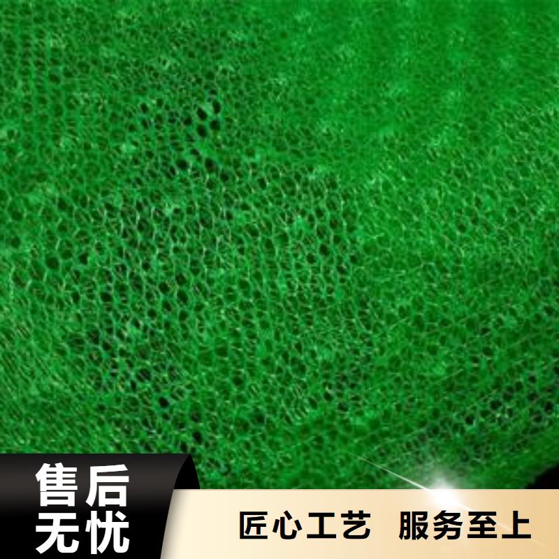 三维植被网【短丝土工布】使用寿命长久库存量大