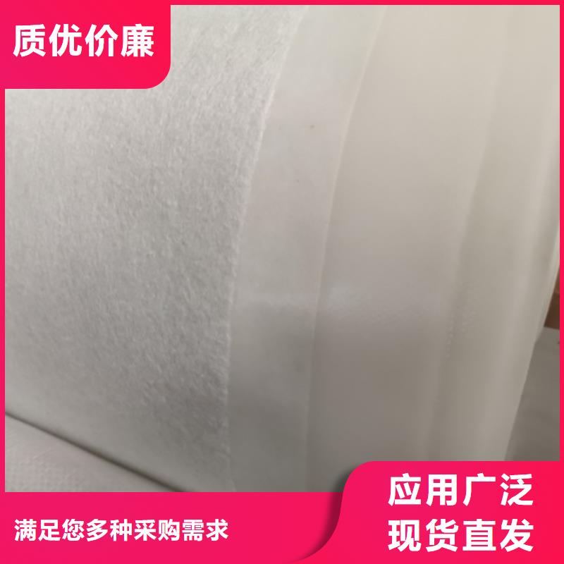 土工膜玻纤土工格栅用好材做好产品同城公司