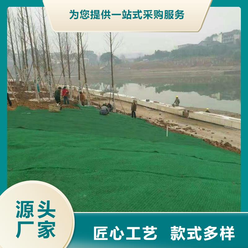 【三维植被网】土工布批发支持加工定制当地服务商