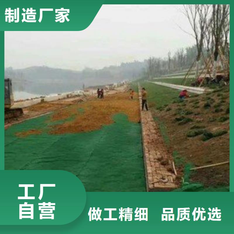 【三维植被网】_单向塑料土工格栅好货有保障用心制造