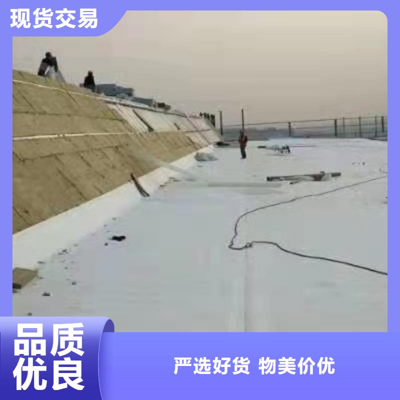 TPOPVC防水卷材自产自销当地品牌