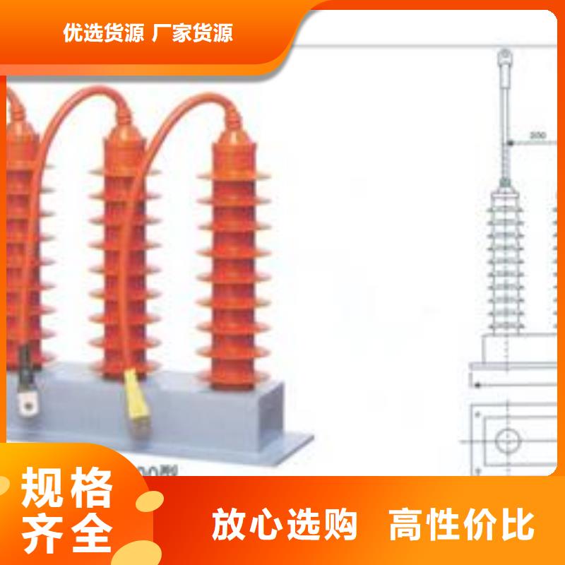 过电压保护器绝缘子产地源头好货当地公司