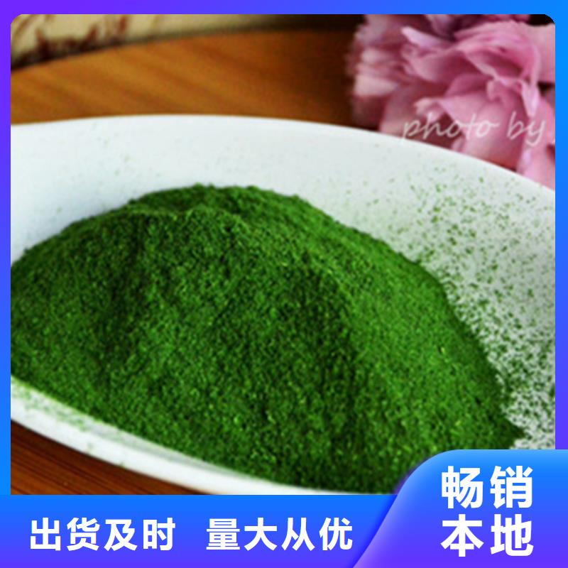 绿色菠菜粉厂家批发价-让您满意工艺层层把关