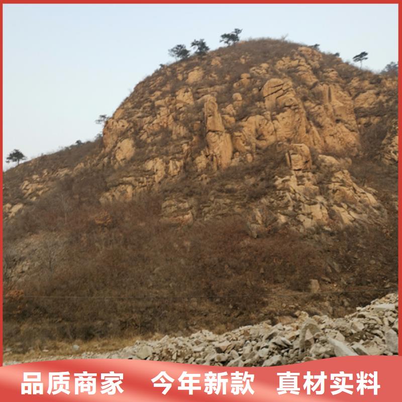 变压器出租本地公司