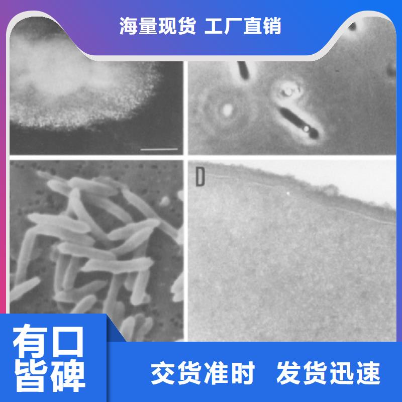 碳源全国配送附近服务商