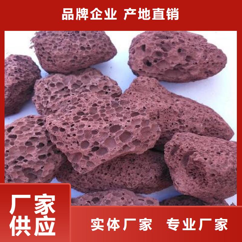 【活山岩】煤质活性炭工厂批发一致好评产品