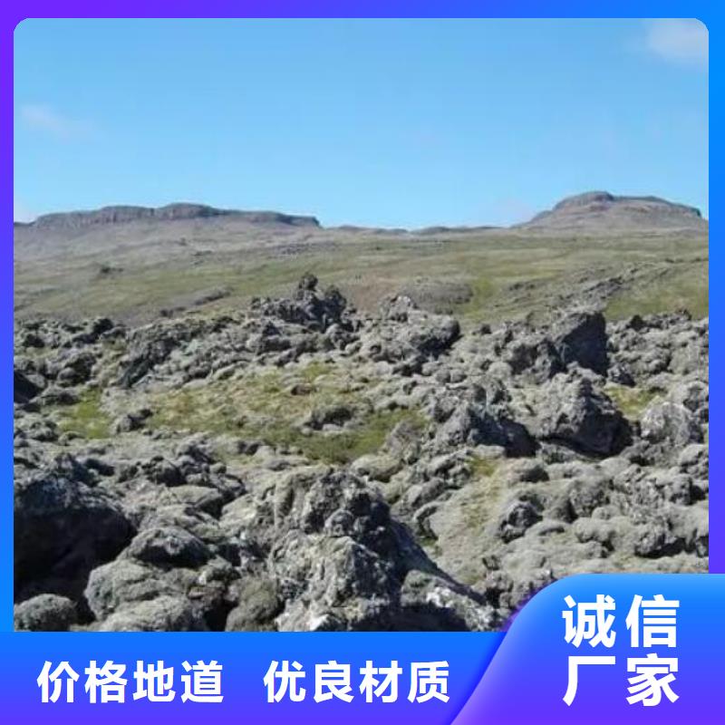 【活山岩煤质活性炭质量无忧】本地经销商