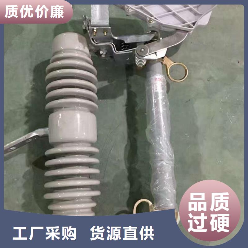 熔断器金属氧化物避雷器准时交付工艺精细质保长久