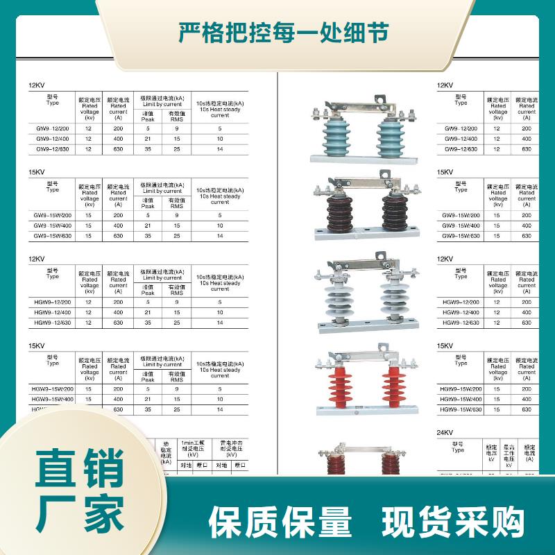 高压隔离开关35KV真空断路器厂家品控严格价格有优势