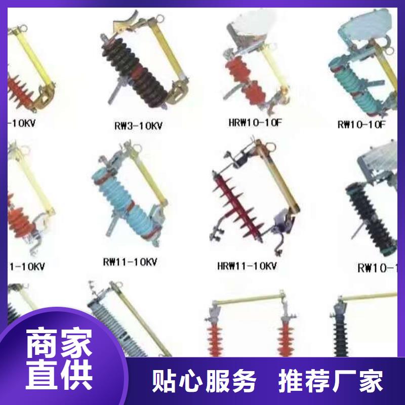 熔断器真空断路器实力大厂家同城公司