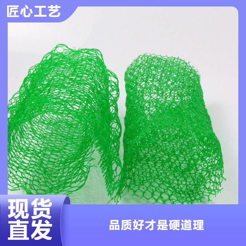 【三维植被网【防渗膜】发货及时】卓越品质正品保障