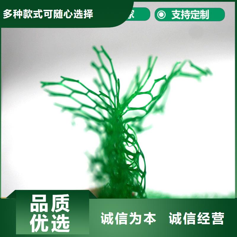 三维植被网HDPE土工膜优良材质供您所需