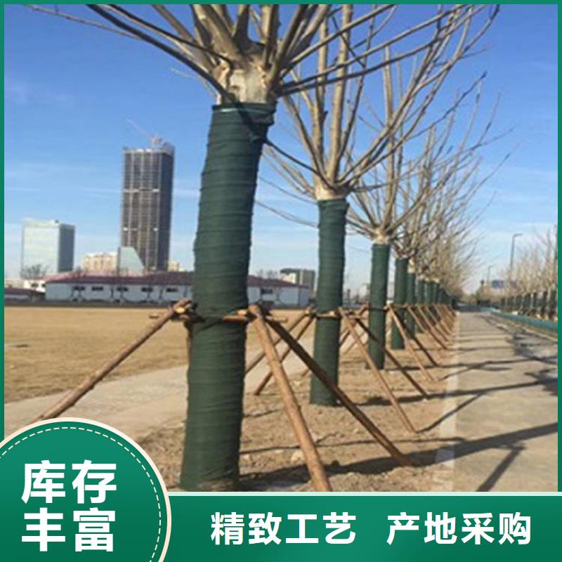 裹树布_软式透水管支持定制贴心售后当地生产商