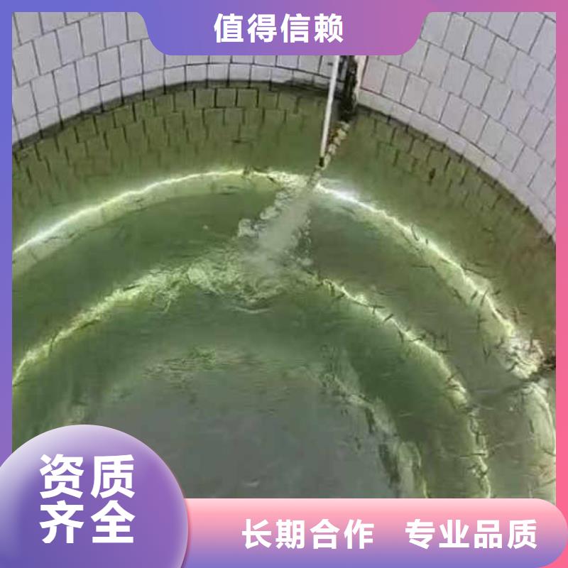 水下作业潜水员服务【水下探测仪】实力团队当地供应商