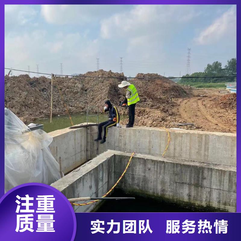 水库闸门堵漏用途分析当地经销商