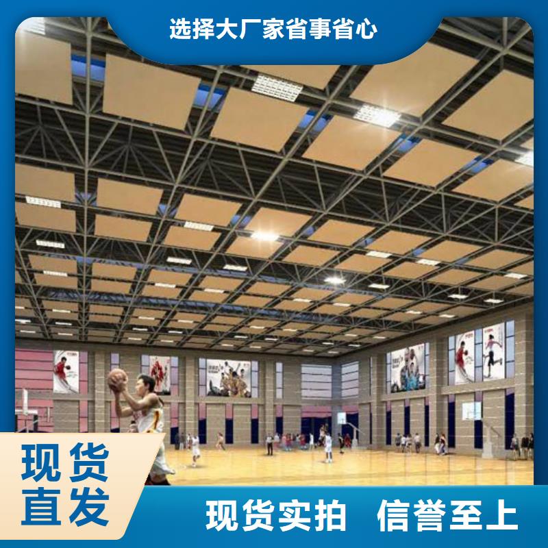 学校体育馆吸音改造公司--2024最近方案/价格型号全价格低