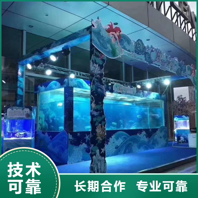 海洋主题动物表演羊驼出租专业品质当地供应商