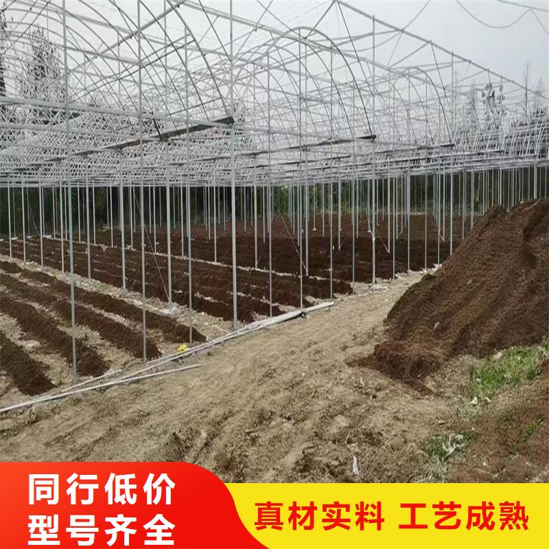 广东省佛山市南庄镇蓝莓杨梅水果大棚质量优欢迎来电询价