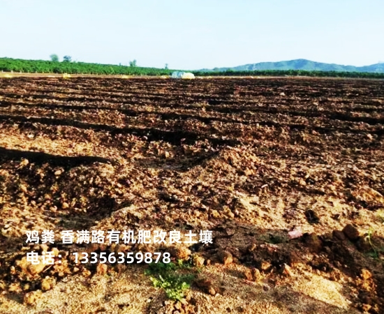 河南焦作孟州发酵鸡粪改良土壤质量优选