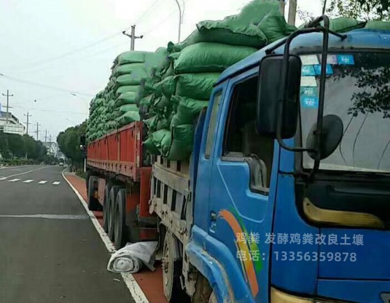 发酵鸡粪肥沃农田