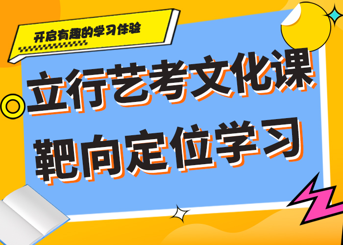 艺术生文化课补习机构有没有在那边学习的来说下实际情况的？