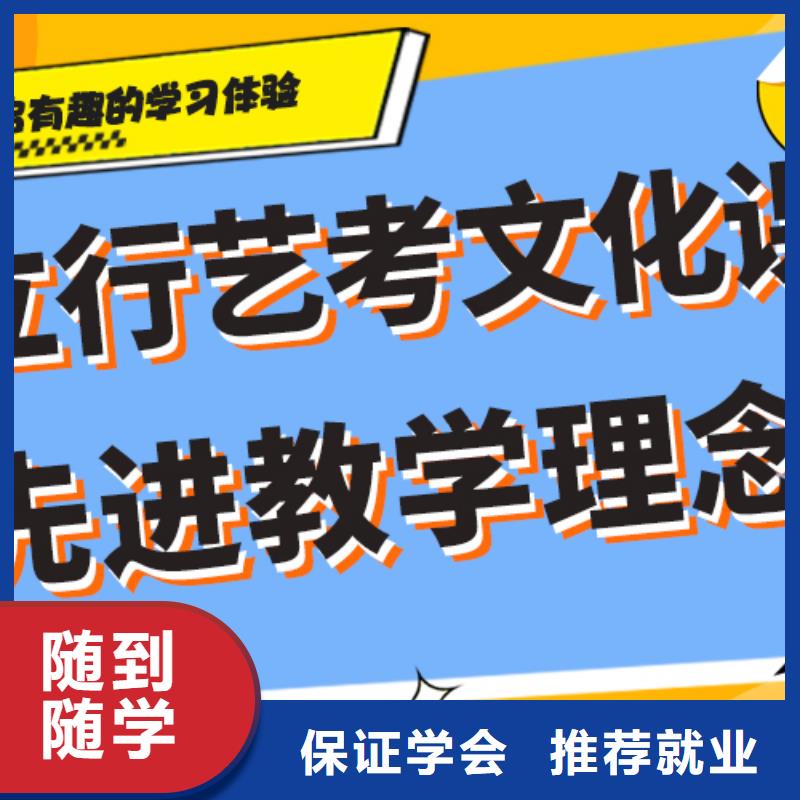 艺术生文化课辅导集训有哪些附近公司