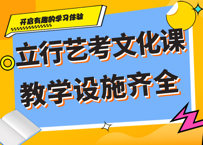 哪家好艺术生文化课集训冲刺定制专属课程当地供应商