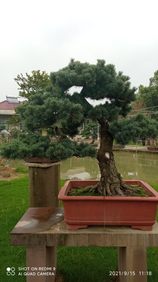 氟硅水泥防静电自流平沙土固化剂在线咨询厂家