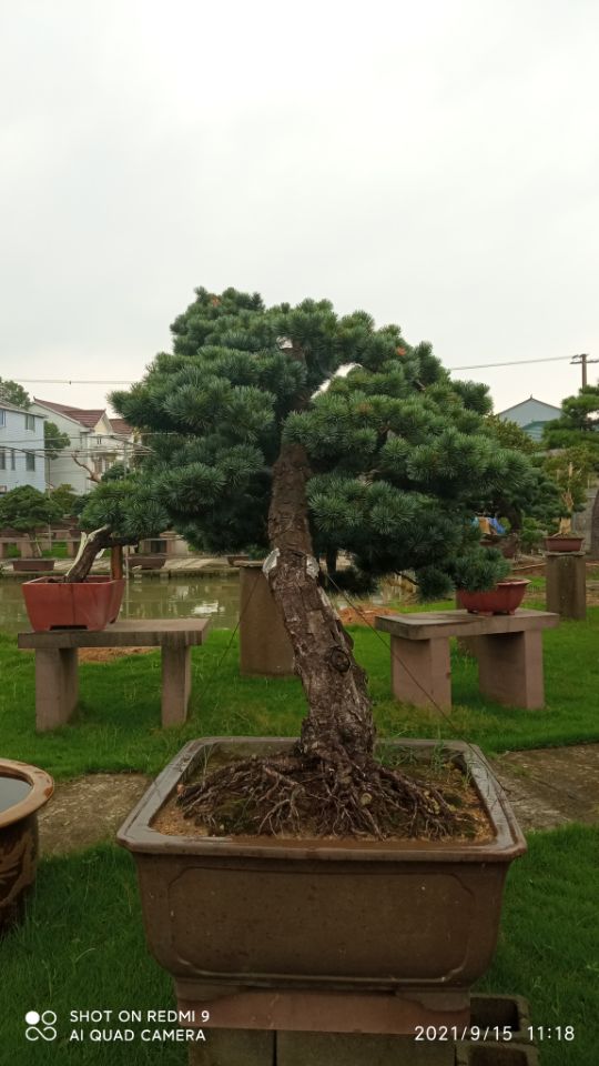 矿山修复尾矿充填土壤固化剂现货直供对质量负责