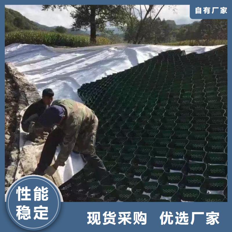 蜂巢格室植草格当地厂家值得信赖定金锁价