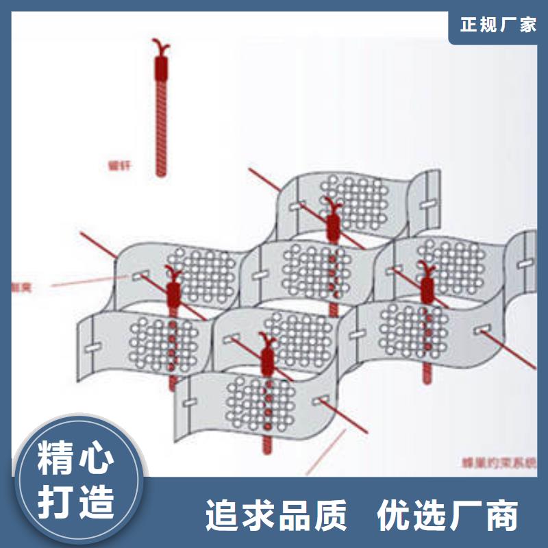 【蜂巢格室】蜂格网专业信赖厂家本地货源