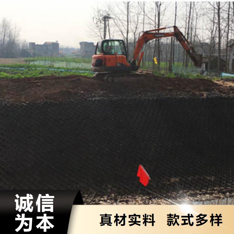 【蜂巢格室蜂巢土工格室专业按需定制】当地经销商