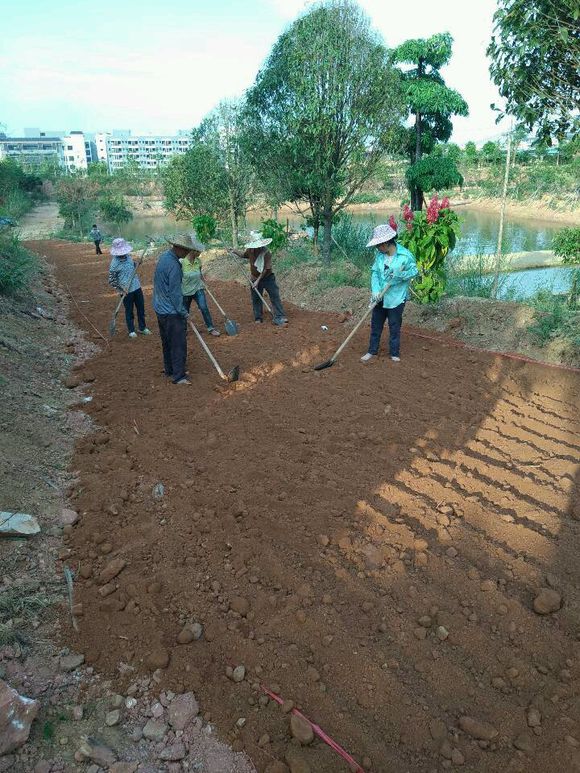 淤泥原位土壤固化污泥改性剂质量保证