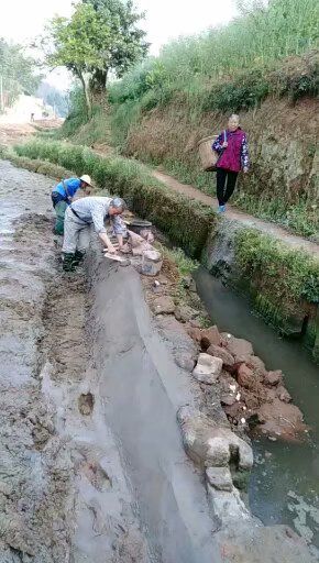 河堤水闸大修提升改造软土固化剂价格优惠